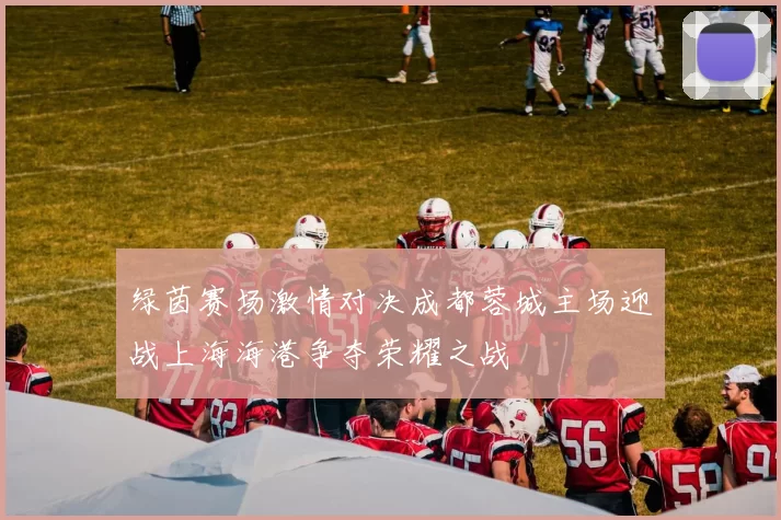 绿茵赛场激情对决成都蓉城主场迎战上海海港争夺荣耀之战