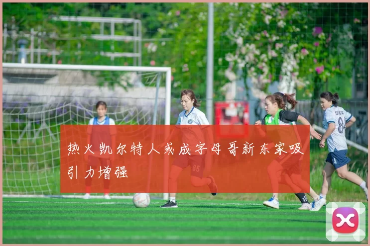 热火凯尔特人或成字母哥新东家吸引力增强